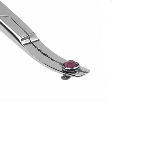 Surface Anchor 5.5" MicroDermal Steel Forceps - Imagen 2